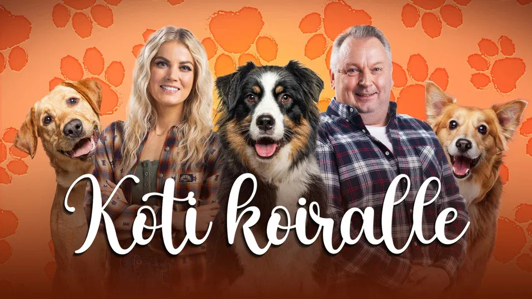 Koti koiralle etsii uuden alun hylätyille lemmikeille